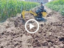 小型挖掘机玉米地挖地视频