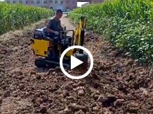 小型挖掘机玉米田里干农活